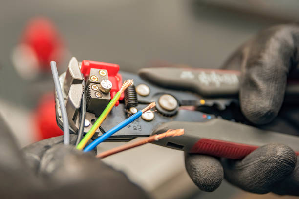 Best Local Electrician Companies  in Home Gardens, CA